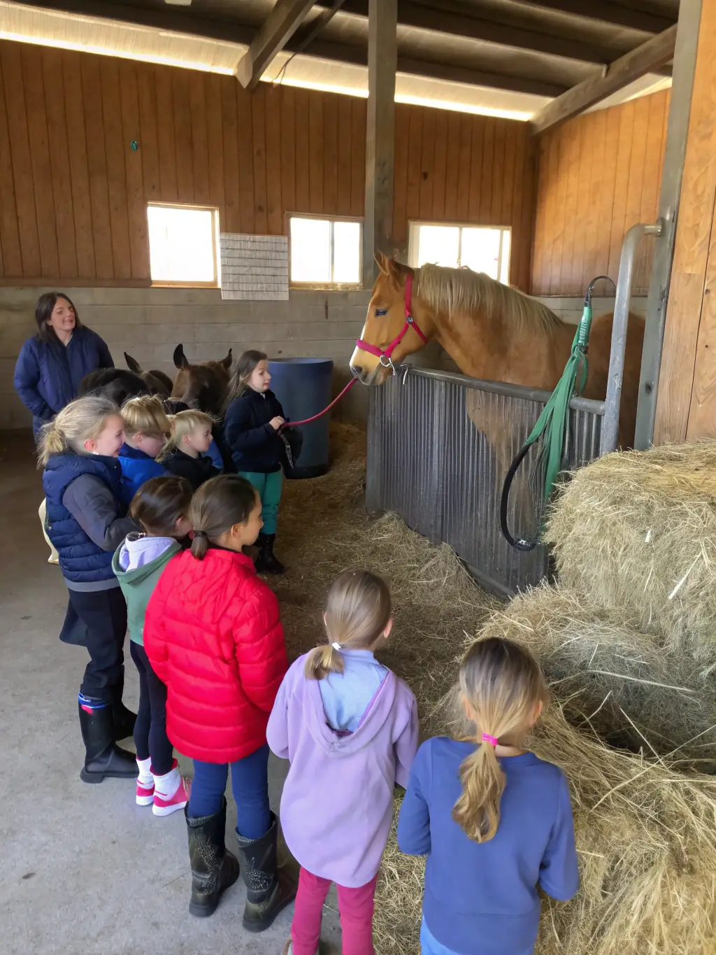 A group of children laughing and interacting while grooming horses, showcasing the social interaction fostered by LA BIDAUDERIE EQUITATION's programs.